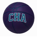Charlotte Hornets
