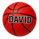 Davidson Wildcats