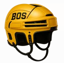 Boston Bruins
