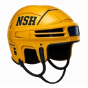Nashville Predators